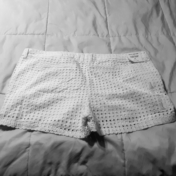 Gap Shorts Size 18 City 3 Inch Eyelet New with Tag - Picture 4 of 13